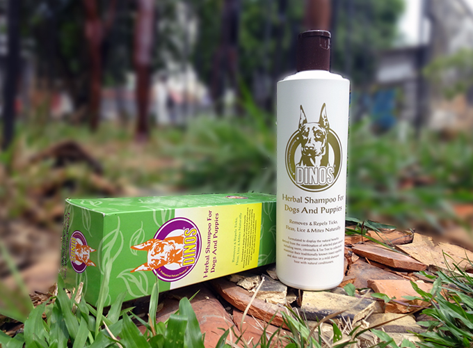dinos-herbal shampoo for dogs and pupies