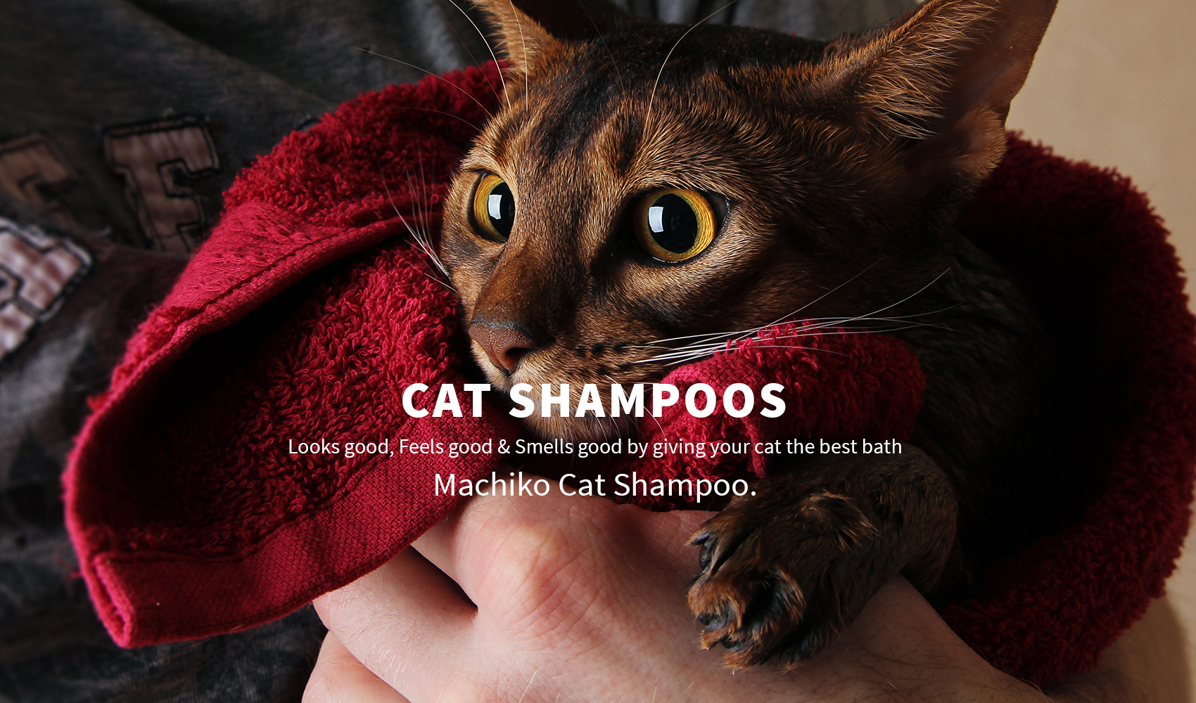 Cat Shampoos