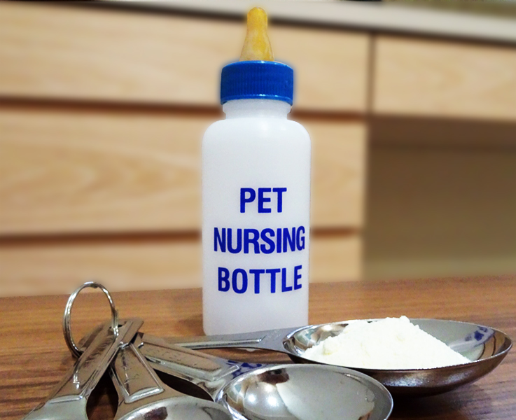 Dinos Pet Nursing Bottle