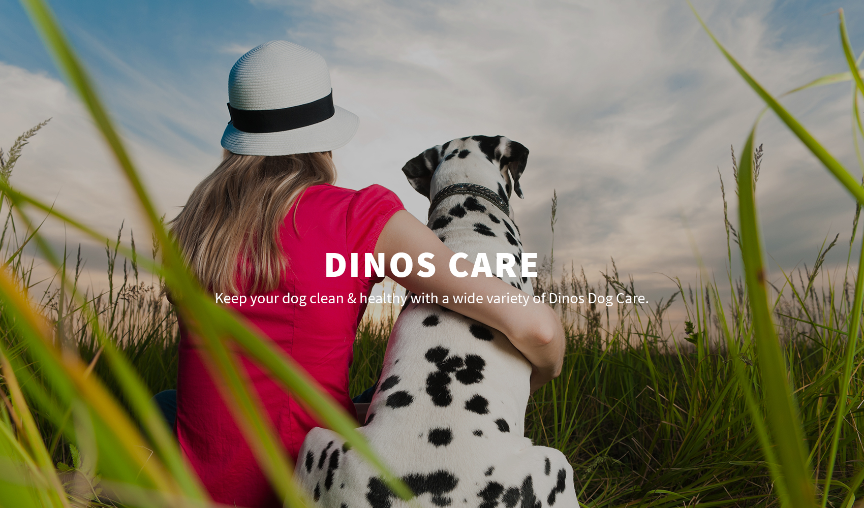 dinos care