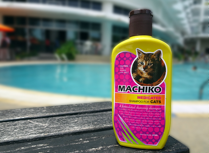 machiko medicated shampoo for cat