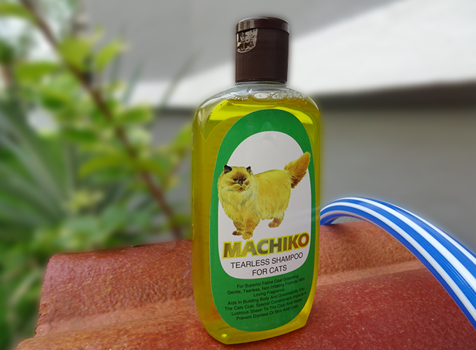 machiko rearless shampoo for cats