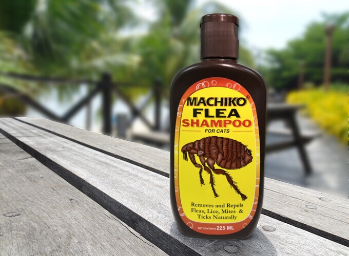 Machiko Flea shampoo